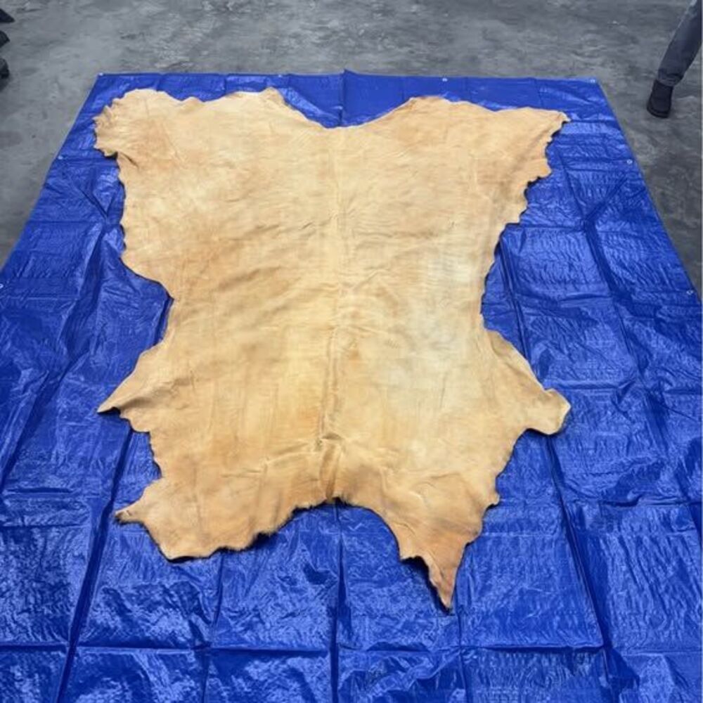Brain tanned bison hide